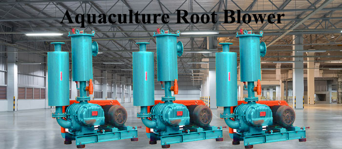 Aquaculture Blower Manufacturer in India,Pune,Chandigarh,Gurgaon Aquaculture Blower Manufacturer in India